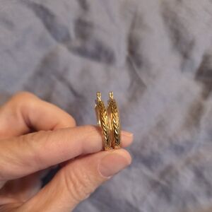 Elegant Gold Hoop Earrings